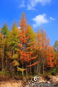 勇者逐鹿，胜负未决场上战火激烈