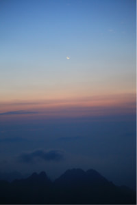 战绩背后的苦辣皆有，观众席情绪变幻莫测