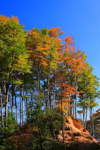 战绩背后的苦辣皆有，观众席情绪变幻莫测