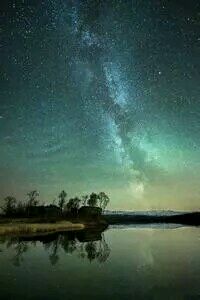 比利时选手在跳水比赛中实现完美动作