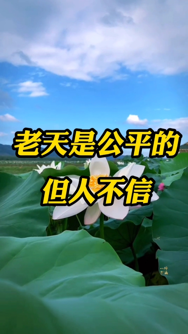 包含真的老到不认识人了？伊万能否在告别战绝杀正名！的词条